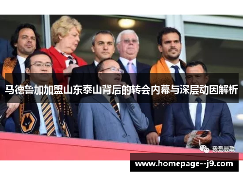马德鲁加加盟山东泰山背后的转会内幕与深层动因解析
