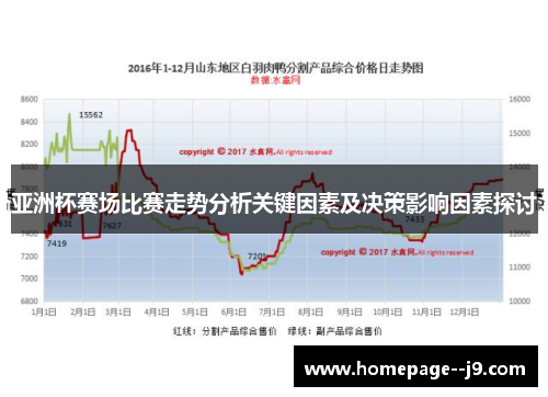 亚洲杯赛场比赛走势分析关键因素及决策影响因素探讨
